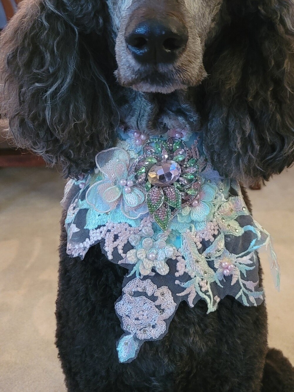 Embellished Crystal Dog Statement Collar